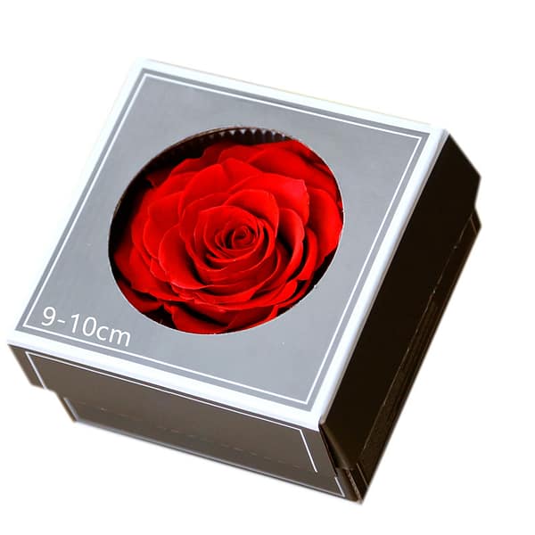 Preserved rose head arround 4 inches for wholesale